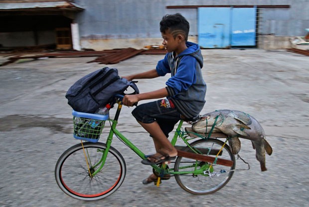 Um garoto chamou ateno ao carregar na quarta-feira (15) um peixe enorme no banco traseiro de sua bicicleta em Wanam, na provncia de Papua, na Indonsia. (Foto: Dita Alangkara/AP)
