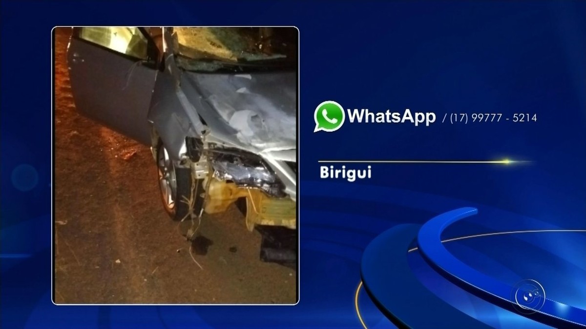 Motorista atropela mula na rodovia Marechal Rondon em Birigui - Globo.com