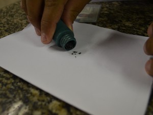 Resultado de imagem para frasco de chumbinho