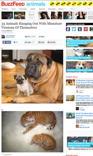 Site montou lista de 35 animais com filhotes que so semelhantes a ele (Foto: Reproduo/"Buzzfeed")
