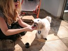 Ju Isen, musa das manifestações, serve champanhe e caviar para seu cachorro