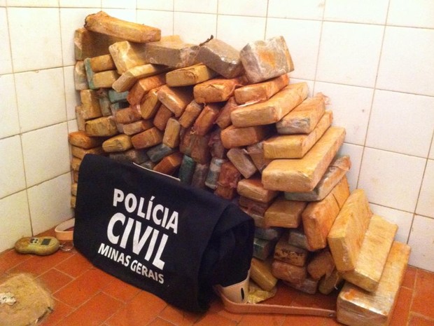 PM apreende tabletes de maconha em fazenda de Frutal, MG (Foto: Murillo Ribeiro/Polícia Civil)