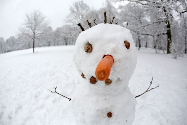 Boneco tinha o nariz formado com por uma cenoura e os olhos por nozes em Leipzig (Foto: Jan Woitas/AFP)