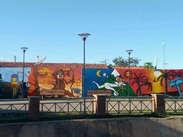 Ilustrações do coletivo de grafiteiros estão espalhadas por diversos lugares (Foto: Arte Urbana de Teresina)