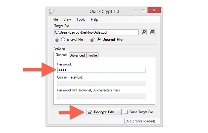 Inserindo a senha para abrir um arquivo encriptado pelo Quick Crypt (Foto: Reprodução/Marvin Costa)