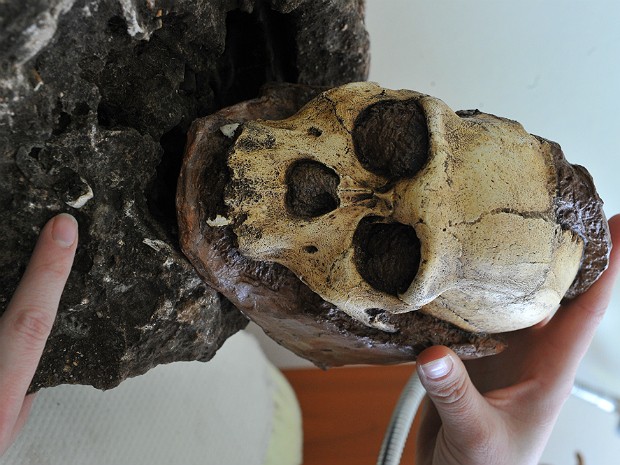 Fósseis hominídeo (Foto: Alexander Joe/AFP)