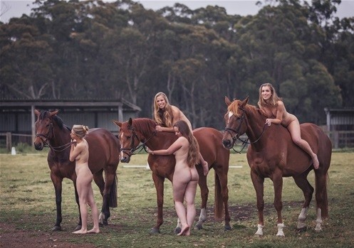 Calendário 2016 de alunos de veterinária de Sydney