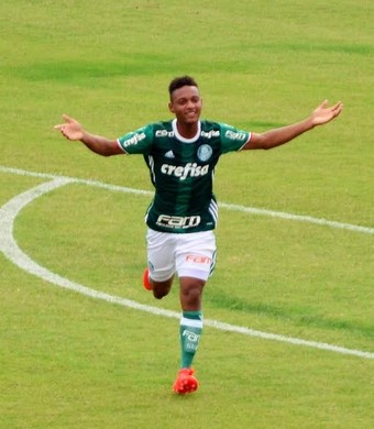 Base do Verdão torce por título do Brasileiro