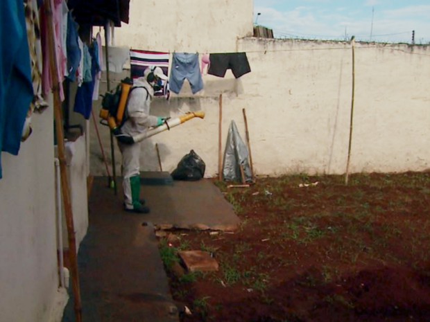 Em Pontal, Secretaria da Saúde faz uso de nebulização para matar as larvas do mosquito Aedes aegypti (Foto: Maurício Glauco/EPTV)
