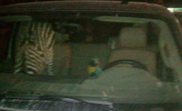 Em maio de 2012, o americano Jerald Reiter, de 55 anos, foi preso dirigindo alcoolizado no condado de Dubuque, no estado de Iowa (EUA), enquanto levava sua zebra de estimação no banco de passageiro (Foto: Reprodução)
