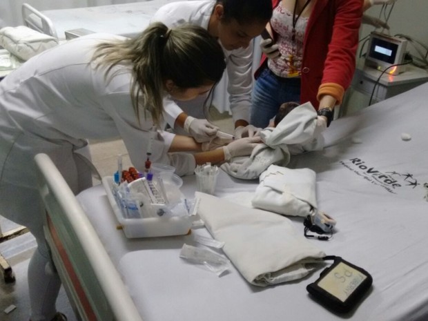 Recém-nascido é encontrado dentro de sacola, em Rio Verde, em Goiás (Foto: Reprodução/TV Anhanguera)