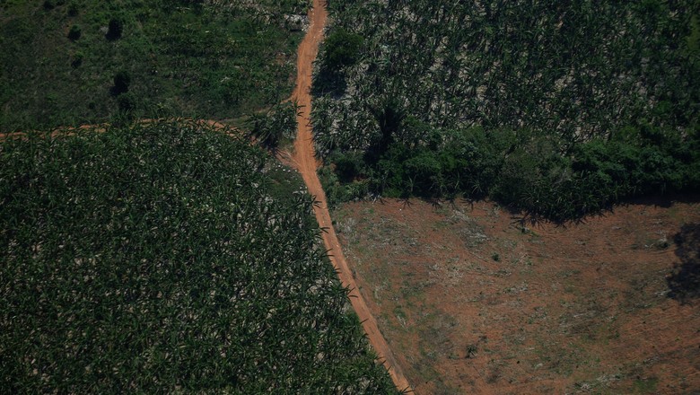 Vista aérea de região desmatada da Amazônia em Rondônia (Foto: REUTERS/Adriano Machado)