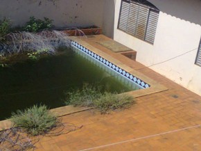Piscina Abandonada E Criadouro De Mosquito Da Dengue Em Ms Diz Leitor Vc No G1 Ms G1