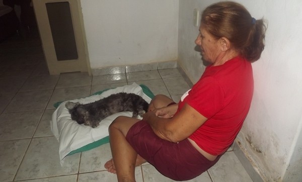 Servidora está inconformada com morte de animal de estimação (Foto: Valdamir Alvarenga)