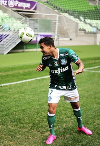 Dudu Palmeiras (Foto: Marcos Ribolli)