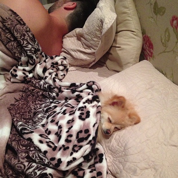 Adriana posta foto de Rodrigão dormindo ao lado do pet do casal (Foto: reprodução/Instagram)
