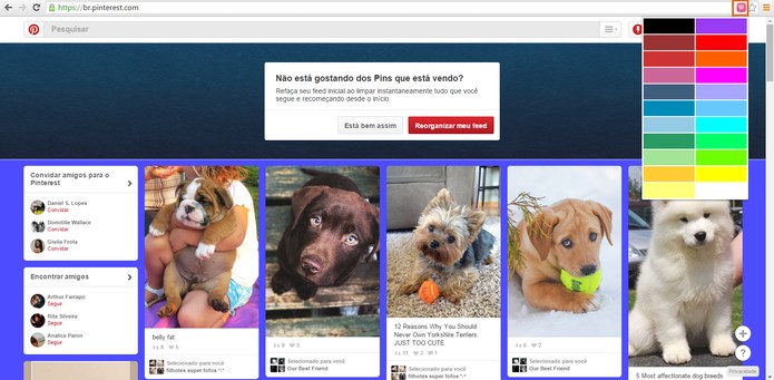 Mude a cor de fundo do Pinterest com extensão para Google Chrome (Foto: Reprodução/Barbara Mannara)