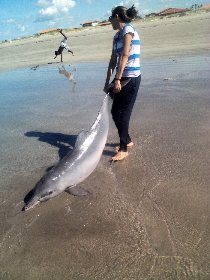 Jovem retirou golfinho da água após verificar que o animal estava exalando muito mau cheiro (Foto: Jordana Lima)