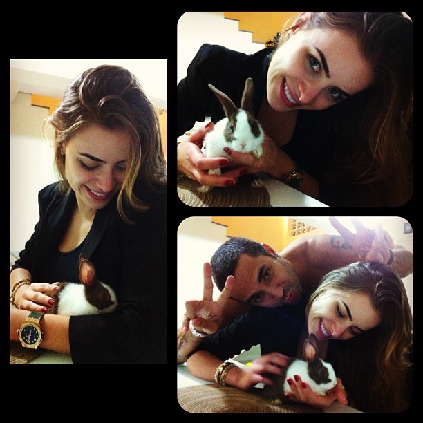 Rayanne Morais e Latino com coelhinho (Foto: Instagram / Reprodução)