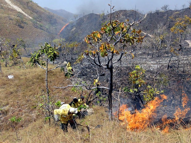 Resultado de imagen para fotos del incendio en el morro