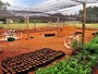 Viveiro do Lago Norte amplia espaço de cultivo em mais de 250 m² no DF