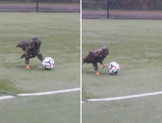 guia virou hit ao ser filmada brincando com bola de futebol  (Foto: Reproduo/YouTube/i2i Advertising)