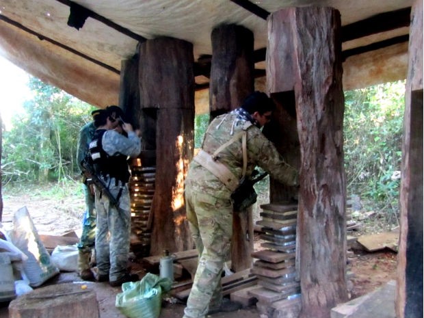 Droga que seguiria para o Brasil estava sendo preparada em quatro acampamentos em Colonia Naranjito (Foto: Senad-PY / Divulgação)