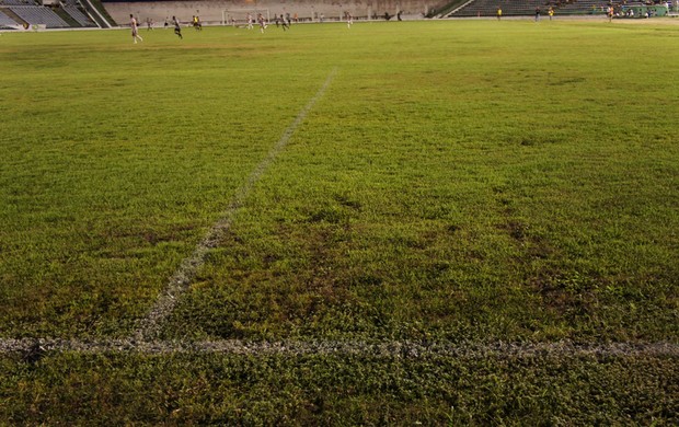 gramado do Estádio Almeidão (Foto: Phelipe Caldas)