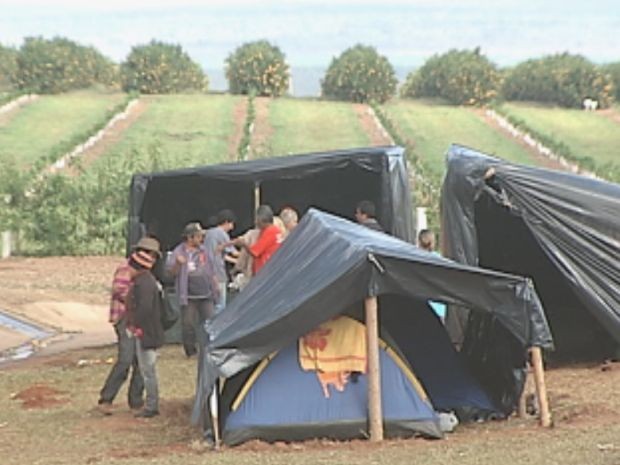 Invasão MST Borebi (Foto: reprodução/TV Tem)