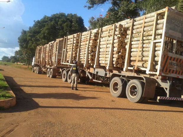 G1 PRF apreende caminhões carga ilegal de madeira em Dom Eliseu