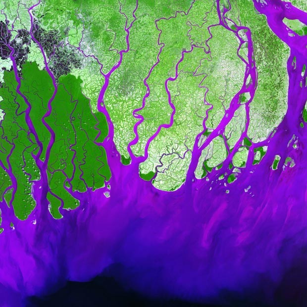 Delta do rio Ganges, em Bangladesh (Foto: SPL/Barcroft Media/BBC)