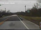Veado escapa ileso ao ser atropelado por carro da polícia nos EUA