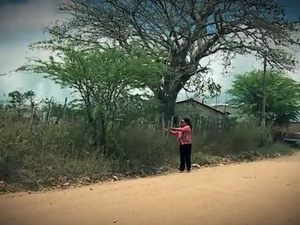 Maria Madalena mostra local onde o sobrinho foi assassinado (Foto: Reprodução/ TV Asa Branca)