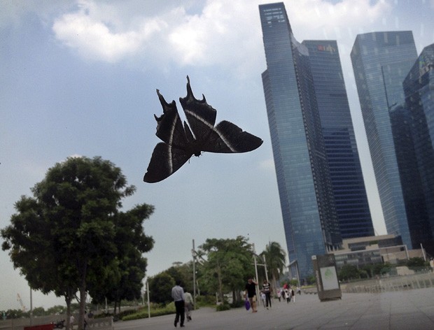Mariposa parece 'monstro gigante' ao pousar em porta de vidro em centro comercial em Cingapura (Foto: Wong Maye-E/AP)