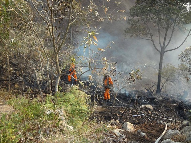 Bombeiros e equipes do Rebio-Araras combatem queimadas na localidade (Foto: Divulgação/ Rebio Araras)