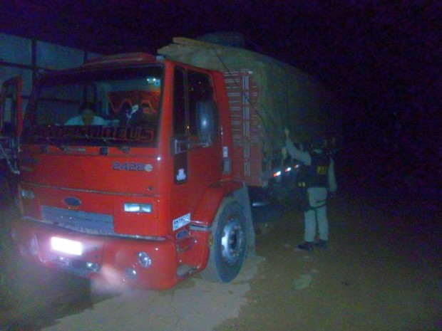 Caminhão transportava mais de dez toneladas de madeira não-declaradas (Foto: Divulgação/PRF)