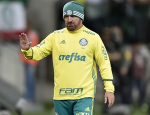 Cuquinha Palmeiras X Fluminense (Foto: Mauro Horita)
