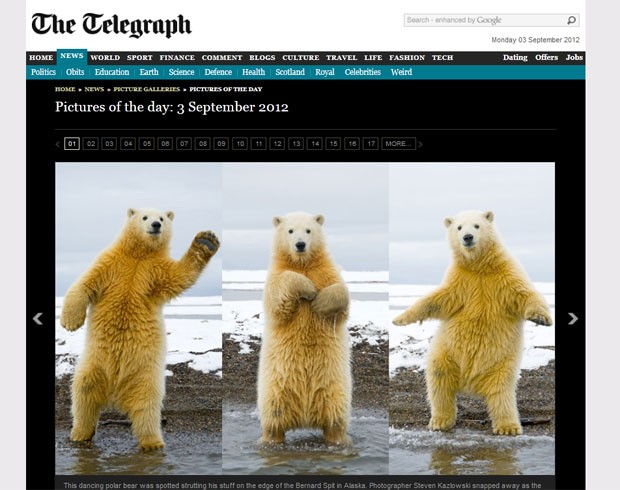 Urso polar foi fotografado no Alasca fazendo movimentos como se estivesse dançando. (Foto: Reprodução/Daily Telegraph)