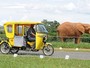 Zoológico de Brasília tem programação especial no feriado