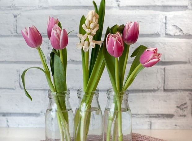 Reaproveite potes de vidro para montar pequenos arranjos com tulipas (Foto: Pixabay/Babyboomer/CreativeCommons)