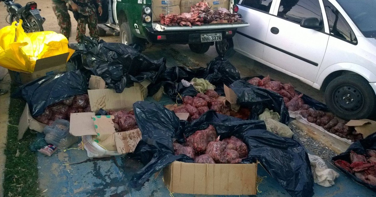 Polícia Ambiental apreende 25 mil arribaçãs e prende casal no RN - Globo.com