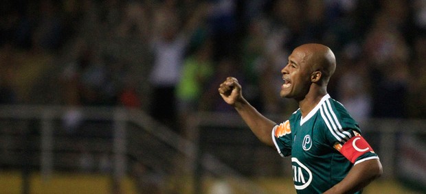 Marcos Assunção gol Palmeiras (Foto: Rahel Patrasso / Ag. Estado)