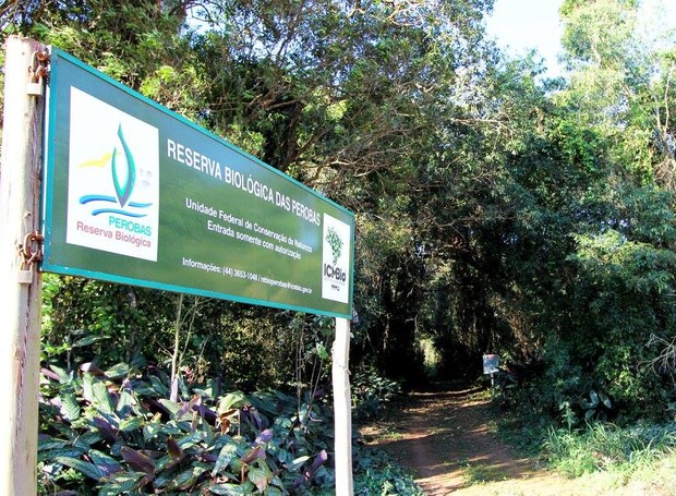 Conheça a Reserva Biológica das Perobas no Meu Paraná deste sábado (Foto: Divulgação/RPC)