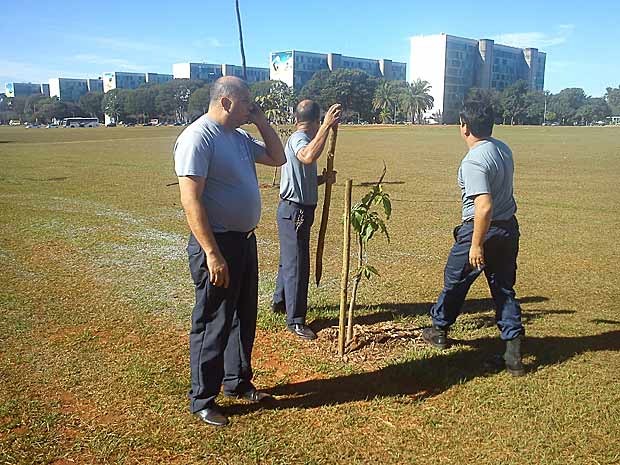 Policiais retiram estacas de planta no gramado da Esplanada dos Ministérios na manhã desta quarta-feira (26) (Foto: Maria Angélica Oliveira/G1)