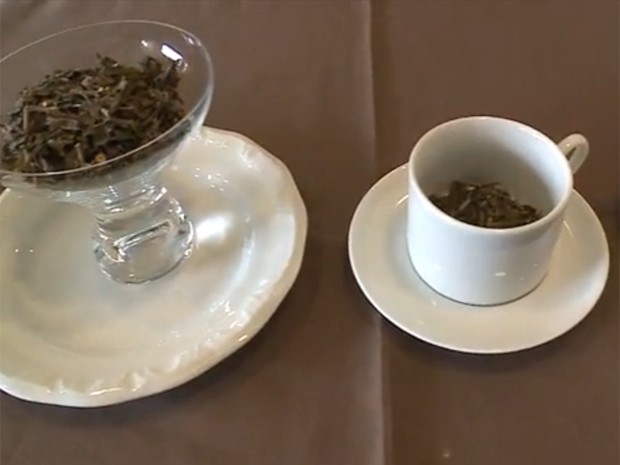 Chá verde ajuda a emagrecer e a equilibrar a insulina. (Foto: Reprodução/G1 MG)