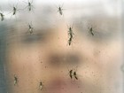 China confirma primeiro caso de zika no país; paciente veio da Venezuela