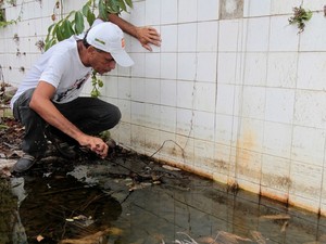 Força-tarefa acontece desde o mês de janeiro (Foto: Agência Alagoas)