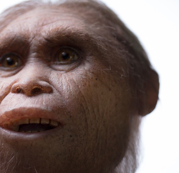  Reconstrução de como seria o Homo floresiensis pelo atelier Elisabeth Daynes (Foto: Kinez Riza)
