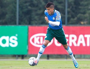 Leandro treino Palmeiras (Foto: Leandro Martins / Agência Estado)