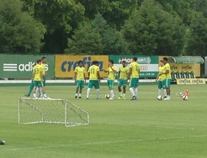 Palmeiras faz primeiro treino no campo em 2017, com Antônio Carlos